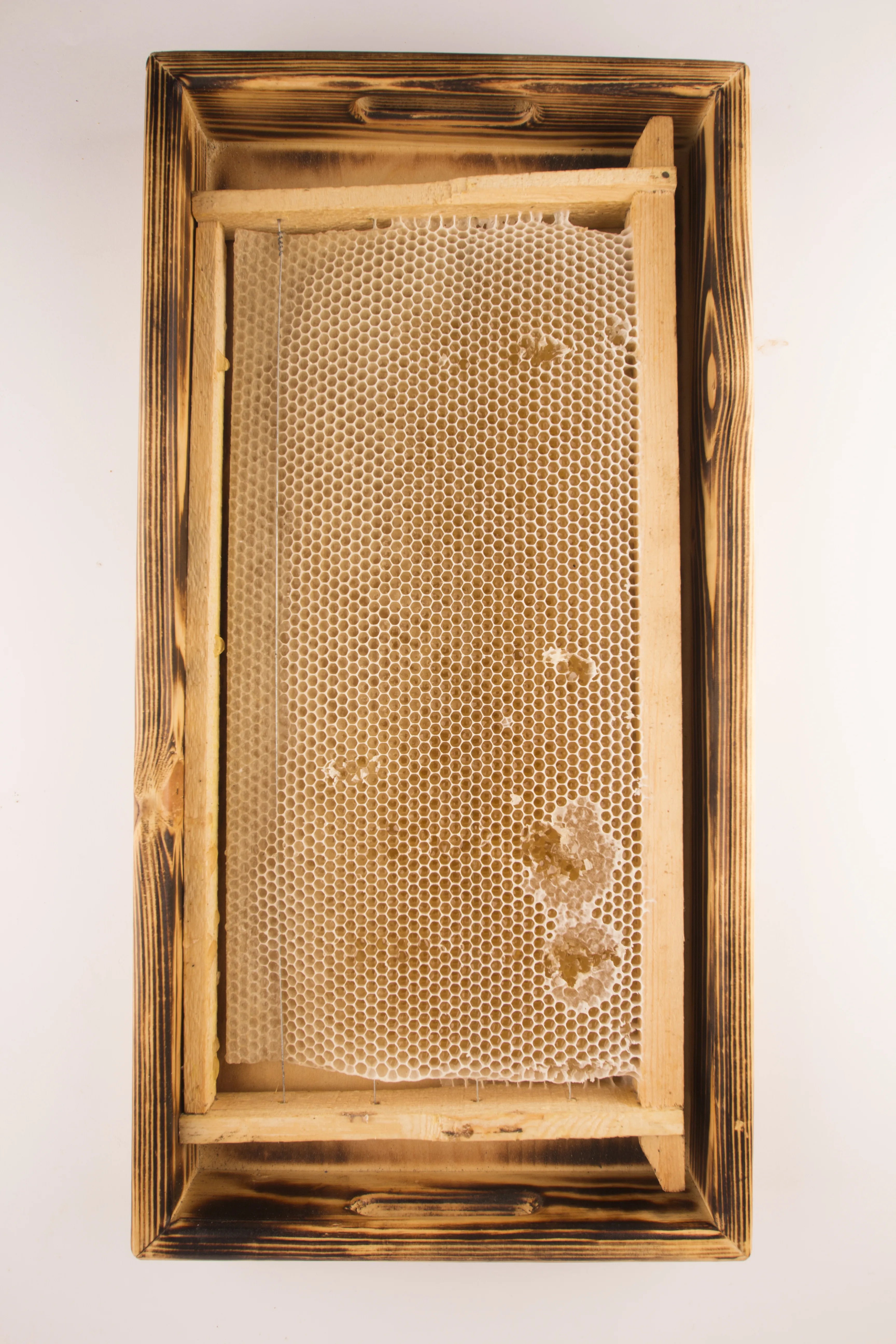 برواز شمع العسل